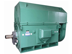 Y4002-2/500KWY系列6KV高压电机